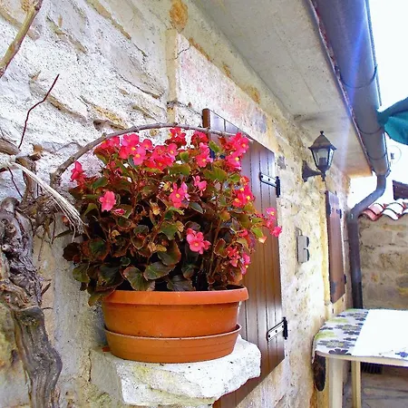 Sol Jardin * Vinkuran